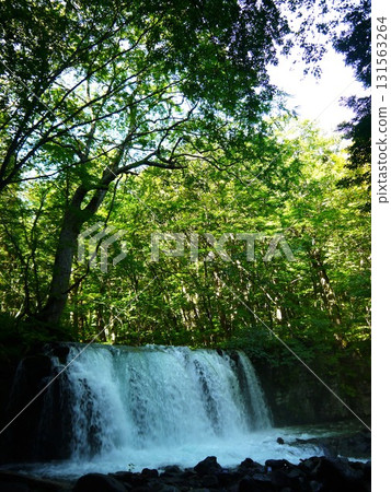 Choshi Otaki of the Oirase Stream 131563264