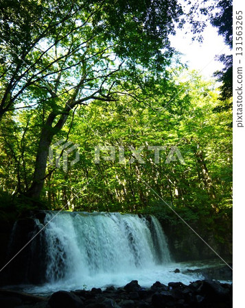 Choshi Falls surrounded by fresh greenery 131563265