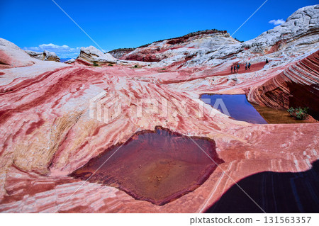 Swirling Sandstone Formations with Hikers Reflective Pools White Pocket Arizona 131563357
