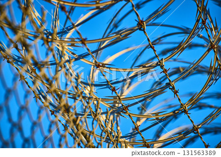 Barbed wire fence with desert landscape in Las Vegas Nevada under clear blue sky Barbed wire fence with desert landscape in Las Vegas Nevada under clear blue sky 131563389