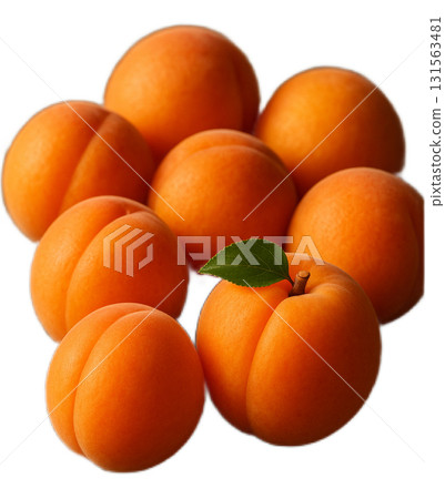 Apricots 131563481