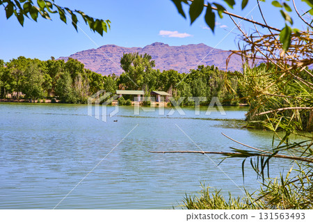 Pond and Mountain View at Floyd Lamb Park Las Vegas Nevada 131563493