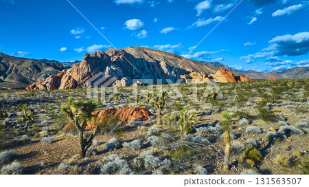 Whitney Pocket Desert Landscape With Joshua Trees And Colorful Rock Formations 131563507