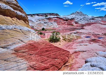 Colorful Swirling Sandstone and Desert Pools White Pocket Vermilion Cliffs 131563531