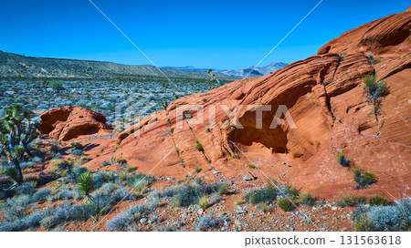 Red Sandstone Formations and Desert Vegetation in Nevada Desert Landscape Red Sandstone Formations and Desert Vegetation in Nevada Desert Landscape 131563618