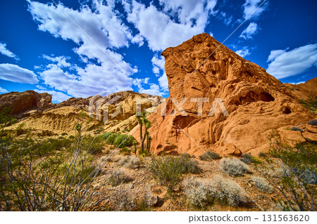 Red Rock Formations and Joshua Trees Under Blue Sky in Nevada Desert 131563620