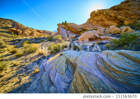 Layered Sandstone Formations Desert Vegetation and Sunlight Nevada 131563670