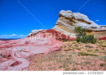 Vermilion Cliffs Swirling Sandstone Layers with Desert Vegetation Under Blue Sky 131563697