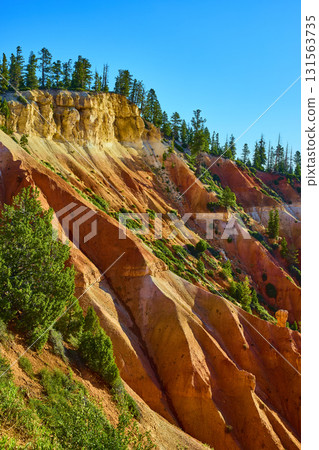 Bryce Canyon Red Rock Formations Pine Trees and Scenic Cliffs Under Blue Sky 131563735