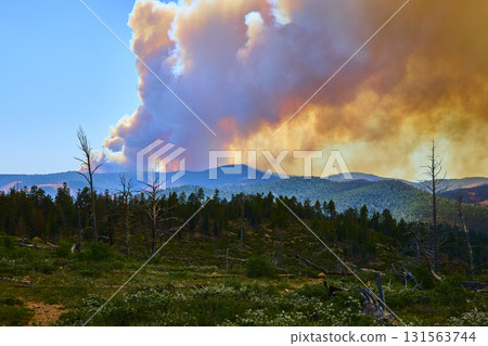 Wildfire Smoke Rising Over Forest and Mountains in Utah with Sunlit Sky 131563744