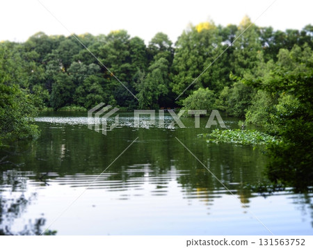 池塘邊緣。池塘景色。立體模型風格。 池塘邊緣。池塘景色。立體模型風格。 131563752