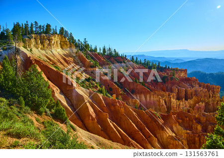 Bryce Canyon Hoodoos and Pine Trees in Vibrant Sunlight Utah Scenic Landscape 131563761