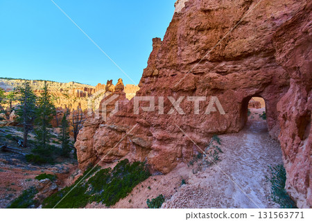 Bryce Canyon Tunnel Trail and Hoodoo Formations with Pine Trees in Utah 131563771
