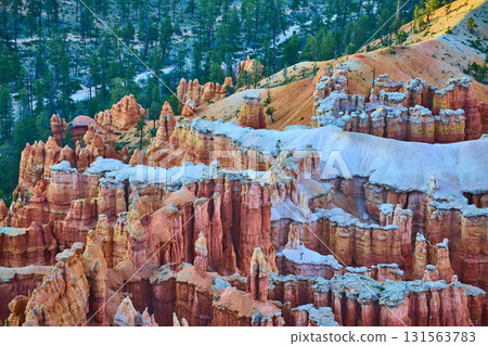 Bryce Canyon Hoodoos and Forest at Sunrise from Bryce Point Utah 131563783