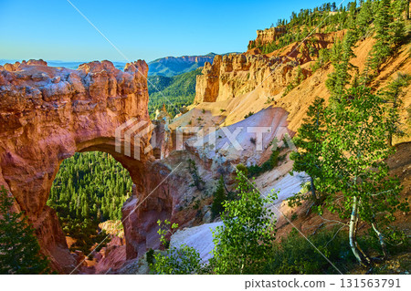 Natural Bridge Arch and Pine Forest in Bryce Canyon National Park Utah Scenic View Natural Bridge Arch and Pine Forest in Bryce Canyon National Park Utah Scenic View 131563791