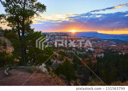 Bryce Canyon Hoodoos Sunrise Point Pine Trees at Golden Hour 131563799