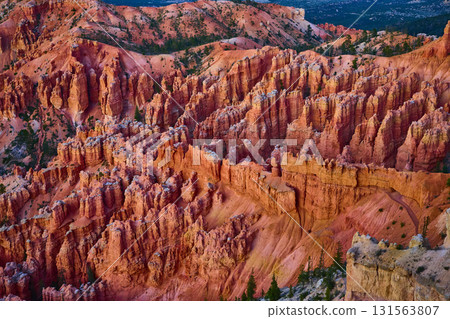 Bryce Canyon Hoodoo Formations at Sunset with Pine Trees and Colorful Rock Layers Bryce Canyon Hoodoo Formations at Sunset with Pine Trees and Colorful Rock Layers 131563807
