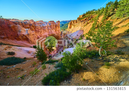 Natural Bridge Arch and Red Cliffs in Bryce Canyon National Park Utah Scenic View Natural Bridge Arch and Red Cliffs in Bryce Canyon National Park Utah Scenic View 131563815