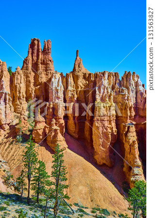 Bryce Canyon Hoodoos and Pine Trees Under Vibrant Blue Sky Utah Landscape 131563827