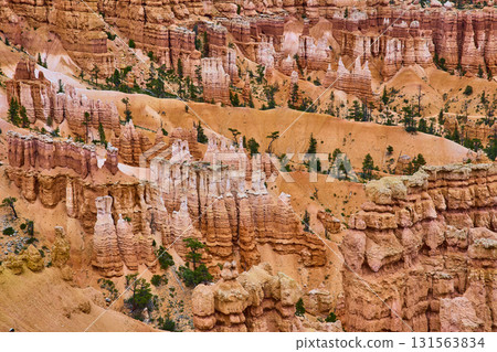 Bryce Canyon Hoodoos and Pine Trees at Sunrise Point in Utah Bryce Canyon Hoodoos and Pine Trees at Sunrise Point in Utah 131563834