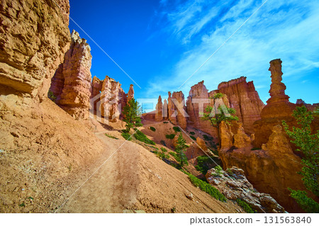 Bryce Canyon Hoodoo Formations Trail and Pine Trees Under Blue Sky Bryce Canyon Hoodoo Formations Trail and Pine Trees Under Blue Sky 131563840