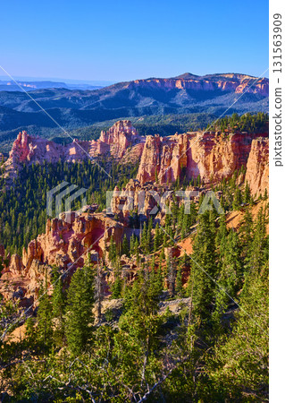 Bryce Canyon Hoodoos Pine Forest and Scenic Vista Under Blue Sky 131563909