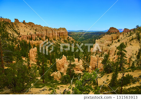 Bryce Canyon Hoodoos Pine Forest and Scenic Canyon View Under Bright Blue Sky 131563913