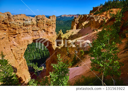 Natural Bridge Arch and Red Rock Cliffs Bryce Canyon National Park Utah 131563922