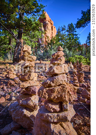 Rock Stack Cairns and Pine Trees Bryce Canyon Hoodoo Landscape Under Blue Sky Rock Stack Cairns and Pine Trees Bryce Canyon Hoodoo Landscape Under Blue Sky 131563929