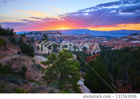 Bryce Canyon Sunrise Point Hoodoos and Pine Trees at Golden Hour 131563936