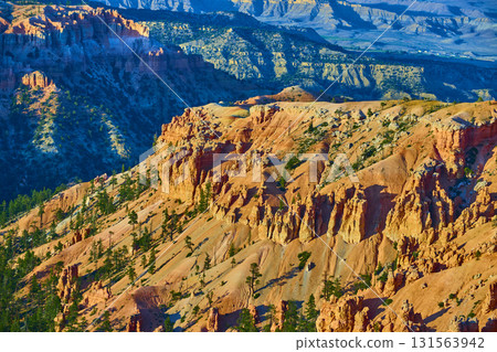 Bryce Canyon Hoodoos and Pine Trees at Sunrise in Utah Scenic Overlook 131563942