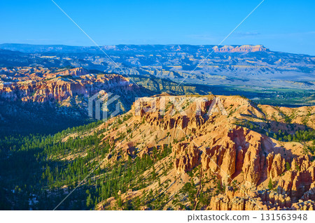 Bryce Canyon Hoodoos Pine Forest and Plateau Panorama in Dramatic Golden Light 131563948