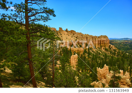 Bryce Canyon Hoodoo Rock Formations and Pine Trees Under Clear Blue Sky Bryce Canyon Hoodoo Rock Formations and Pine Trees Under Clear Blue Sky 131563949