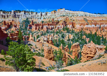 Bryce Canyon Hoodoos and Pine Trees Under Vibrant Blue Sky in Utah 131563952