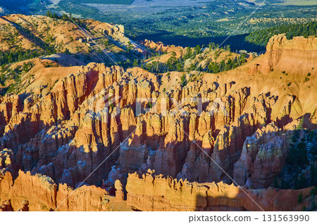 Bryce Canyon Hoodoos and Pine Trees at Sunrise from Bryce Point Utah Bryce Canyon Hoodoos and Pine Trees at Sunrise from Bryce Point Utah 131563990