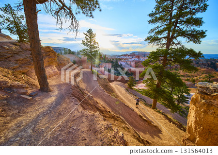 Bryce Canyon Switchback Trail with Pine Trees and Vivid Sunset Scenery 131564013