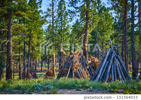 Forest Burning Piles and Pine Trees in Sunlight Bryce Canyon National Park Forest Burning Piles and Pine Trees in Sunlight Bryce Canyon National Park 131564033