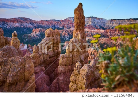 Bryce Canyon Hoodoo Formations with Wildflowers in Colorful Utah Landscape Bryce Canyon Hoodoo Formations with Wildflowers in Colorful Utah Landscape 131564043