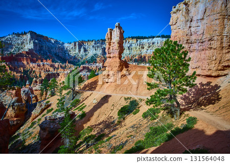 Bryce Canyon Hoodoo Formation and Pine Trees Along Peekaboo Loop Trail Bryce Canyon Hoodoo Formation and Pine Trees Along Peekaboo Loop Trail 131564048