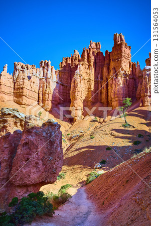 Bryce Canyon Hoodoos and Peekaboo Loop Trail with Lone Tree under Blue Sky Bryce Canyon Hoodoos and Peekaboo Loop Trail with Lone Tree under Blue Sky 131564053