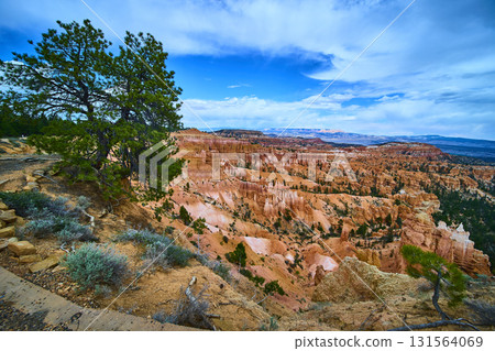Bryce Canyon Hoodoos and Pine Tree at Sunrise Point Under Blue Sky Bryce Canyon Hoodoos and Pine Tree at Sunrise Point Under Blue Sky 131564069