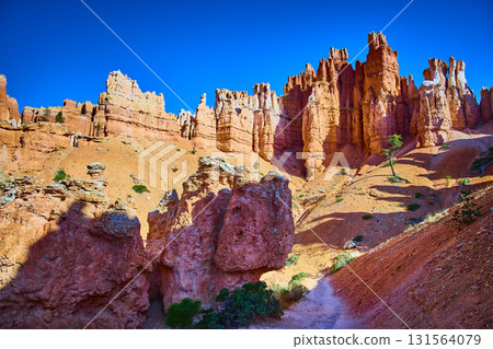 Hoodoo Rock Formations Trail and Lone Tree in Bryce Canyon National Park Utah 131564079