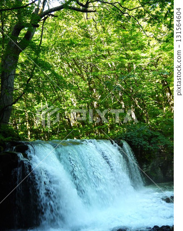 The landscape of the Oirase Stream 131564604