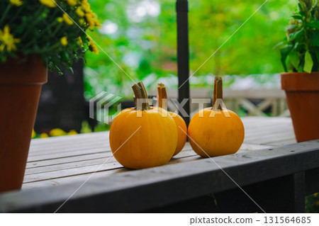 Halloween pumpkins in Hakone Halloween pumpkins in Hakone 131564685