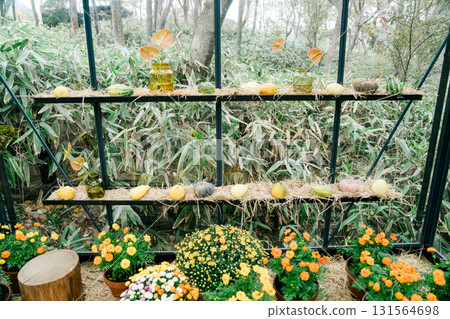 Halloween pumpkins in Hakone Halloween pumpkins in Hakone 131564698