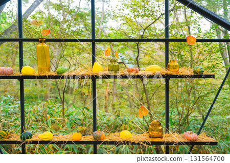 箱根的萬聖節南瓜 131564700