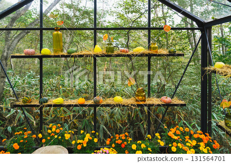 箱根的萬聖節南瓜 131564701