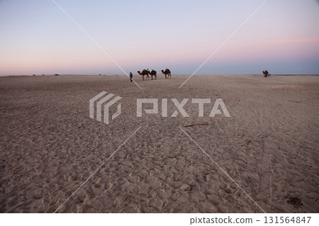 Morning in Sahara desert Morning in Sahara desert 131564847