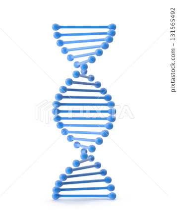 DNA Double Helix Model DNA Double Helix Model 131565492