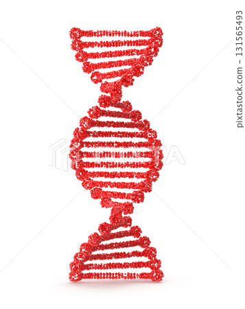 Red DNA Strand Double Helix Representation for Science and Biology 131565493
